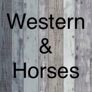 Western, cactus, horses, cow skull